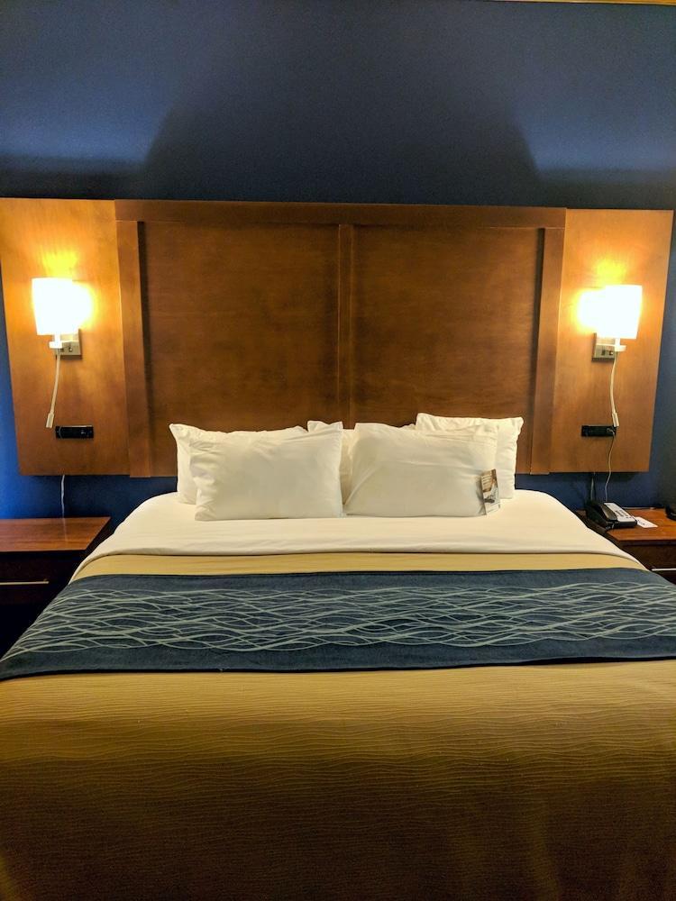 Comfort Inn & Suites Statesboro - University Area Buitenkant foto