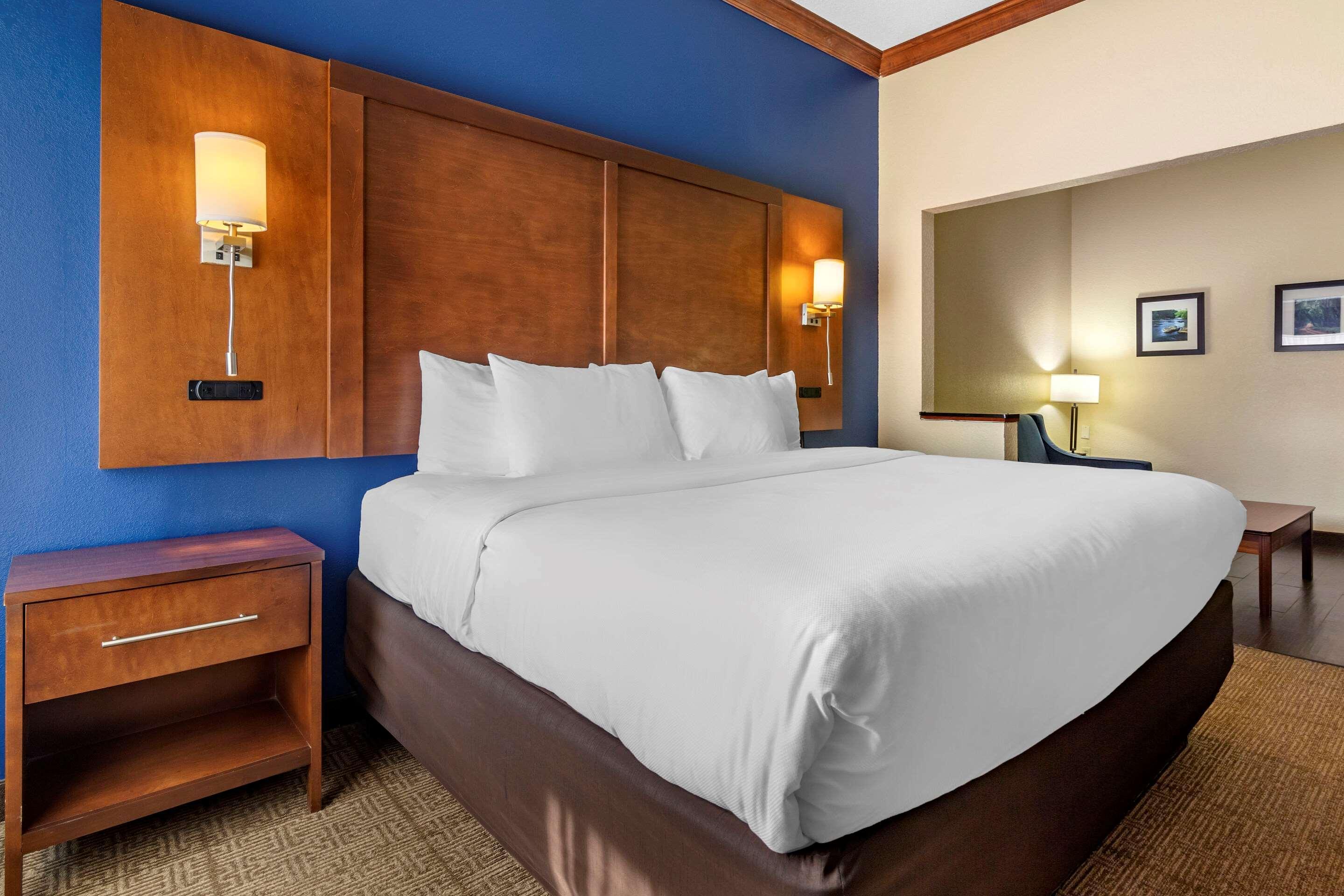 Comfort Inn & Suites Statesboro - University Area Buitenkant foto